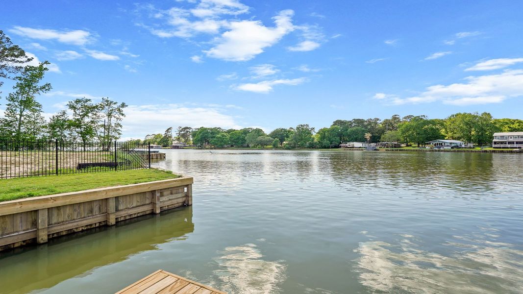 Natural surroundings and green spaces near Lake Conroe Cove in Willis, TX (Image 32).