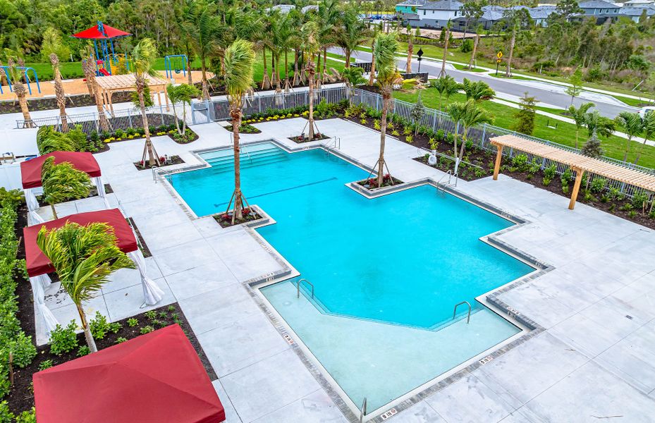 Enjoy the Resort Pool & Cabanas Nearby Your Dream New Home in Lakepur at Wellen Park.