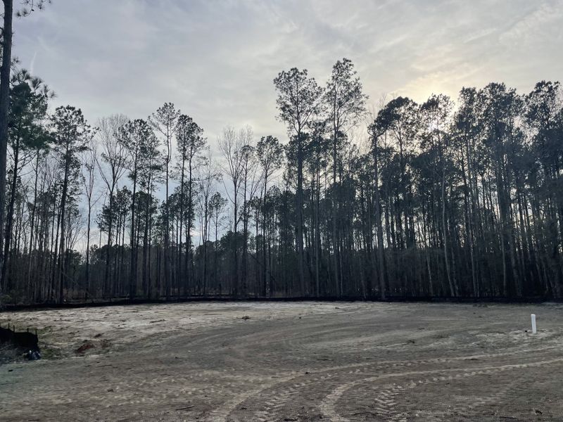 A serene wooded lot awaits development in Carolina Bay by Center Park Homes (Ridgeville, SC). A serene wooded lot awaits development in Carolina Bay by Center Park Homes (Ridgeville, SC).