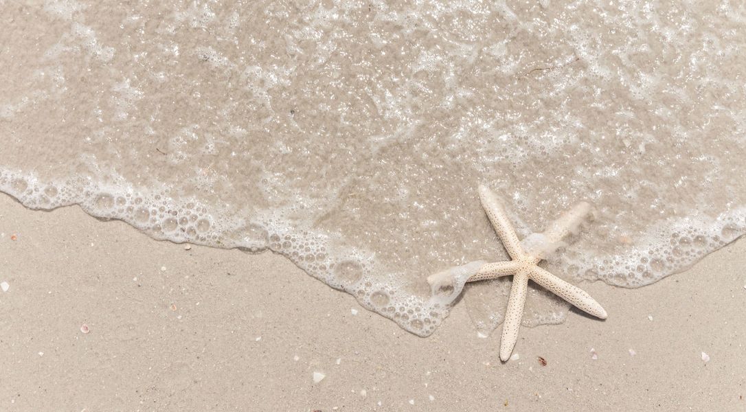 Image 10 of the Orchid Cove community in Bokeelia, FL.