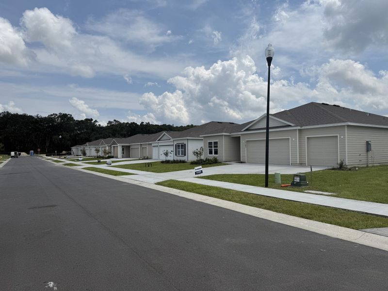 Charming row of modern homes with neat driveways in Avalon Woods by D.R. Horton, Newberry, FL.
