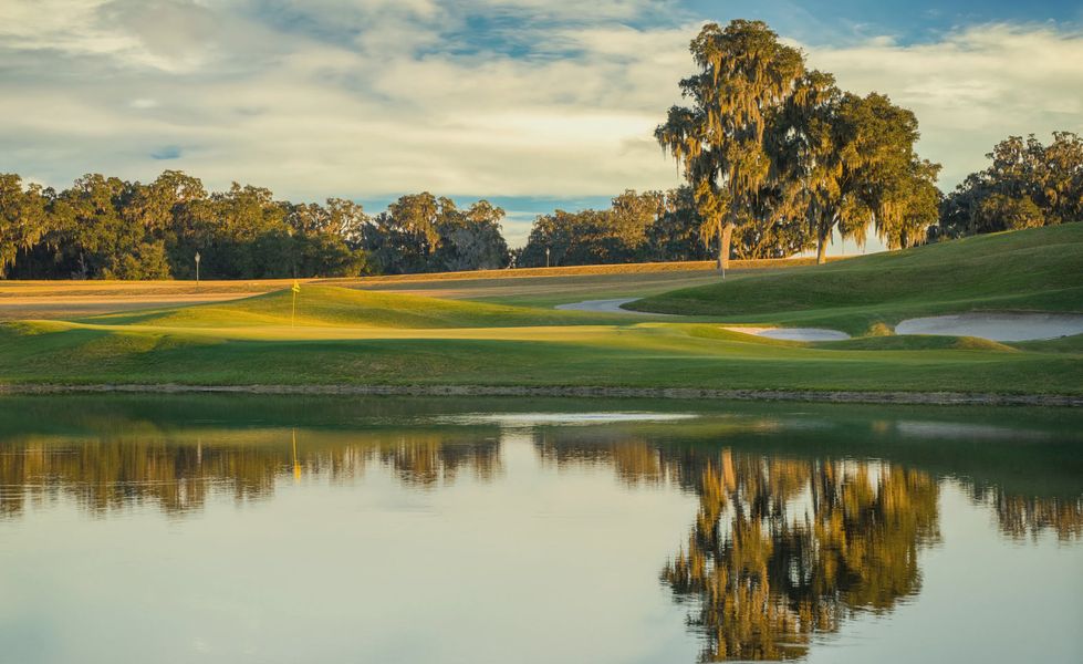 Natural surroundings and green spaces near IronCrest in Ocala, FL (Image 24).