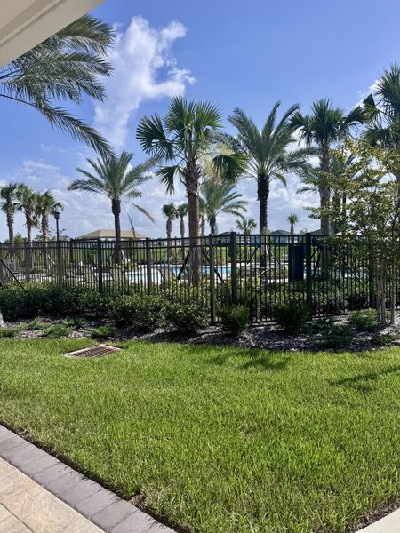 A lush community pool area with palm trees at Edenbrooke at Hyland Trail by Lennar in Green Cove Springs, FL.