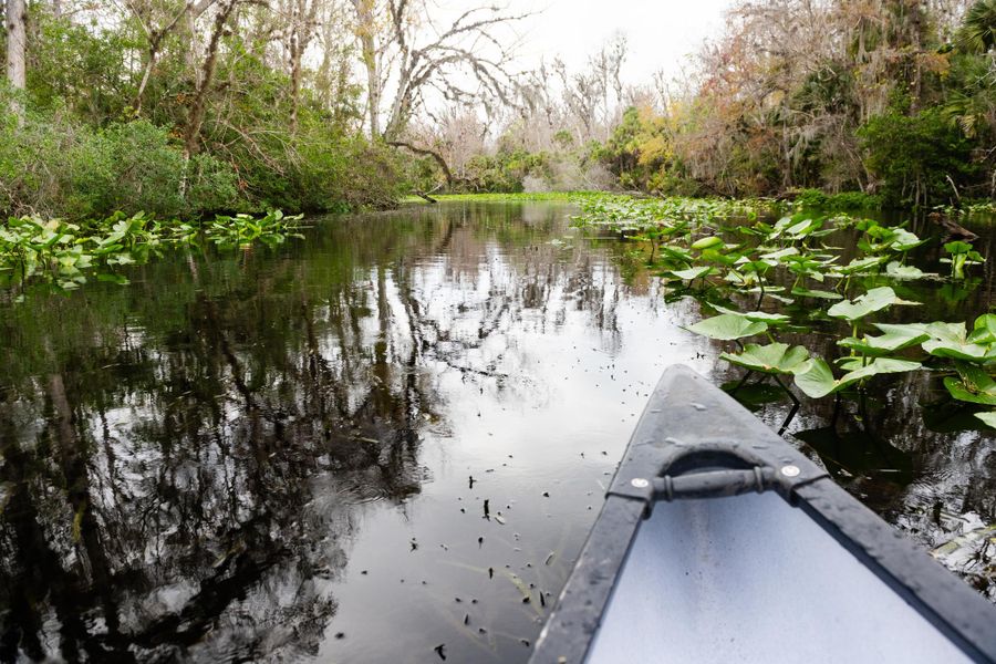 Kayak & Canoe on the Wekiva River