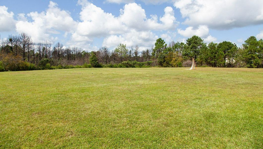 Natural surroundings and green spaces near Grayson Park Townhomes in Leland, NC (Image 42).