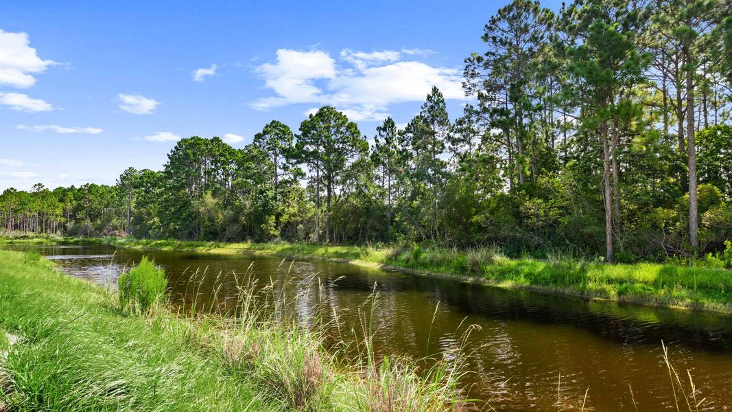 Natural surroundings and green spaces near Buffer Farms in Port Saint Joe, FL (Image 28). Natural surroundings and green spaces near Buffer Farms in Port Saint Joe, FL (Image 28).