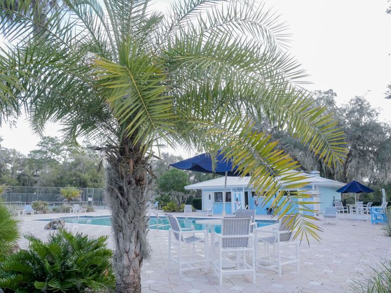 Rainbow Spring,34431