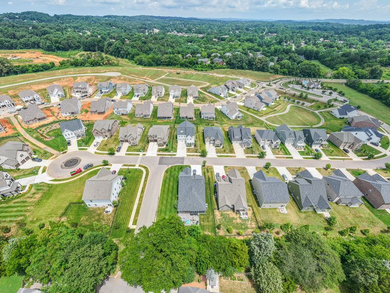 The Vintage at Ivey Farms