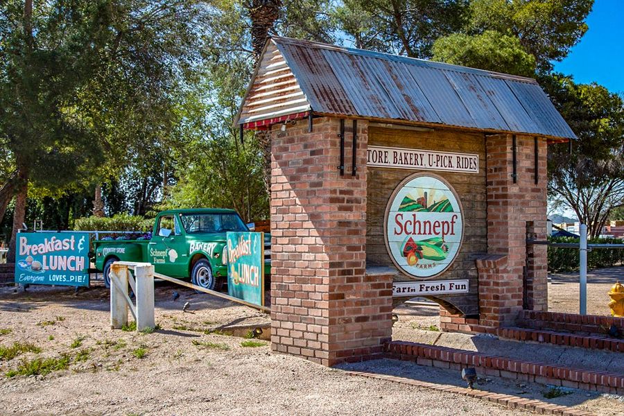 Near Schnepf Farms, an iconic family destination