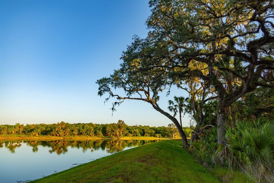 Woodland Preserve is surrounded by preserves and ponds.