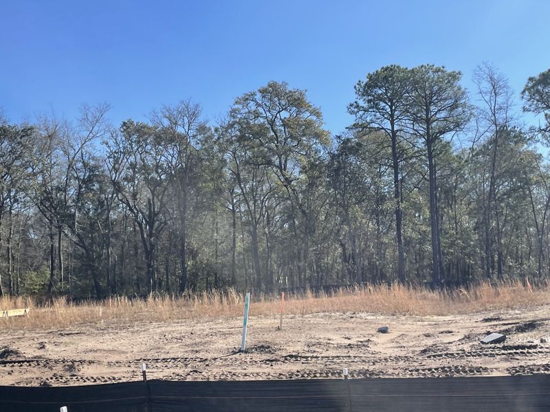 Image 3 of the Saint John's Lake: Coastal Collection community in Johns Island, SC.