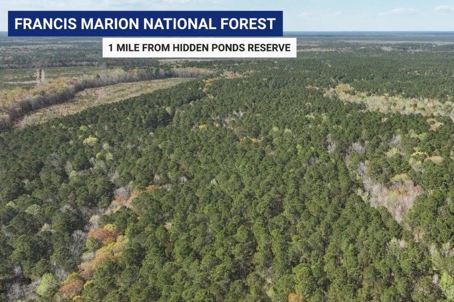 Image 21 of the Hidden Ponds Reserve community in Awendaw, SC.