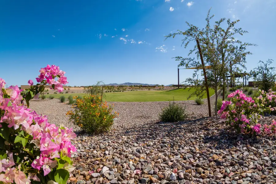 Natural surroundings and green spaces near Hayden Estates in Buckeye, AZ (Image 24). Natural surroundings and green spaces near Hayden Estates in Buckeye, AZ (Image 24).
