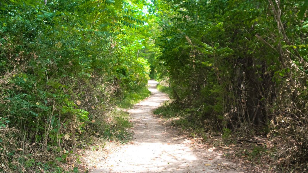 Natural surroundings and green spaces near River Landing in Murfreesboro, TN (Image 42).