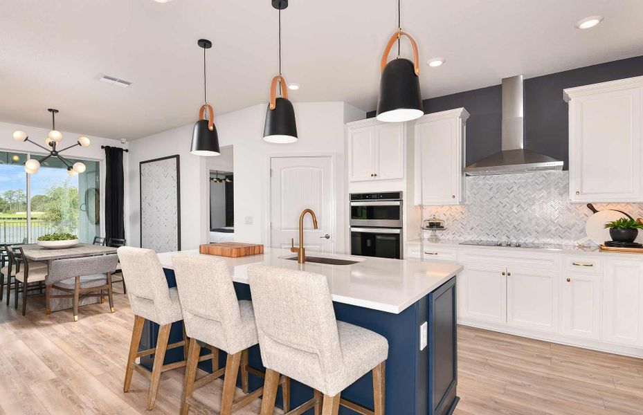 Image 2 of the Arden Preserve community in Land O' Lakes, FL.