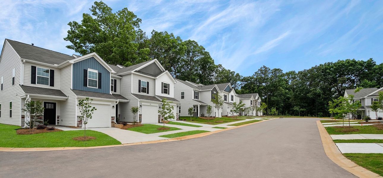 Timber TH Collection Streetscape 2of6 041425 Timber TH Collection Streetscape 2of6 041425