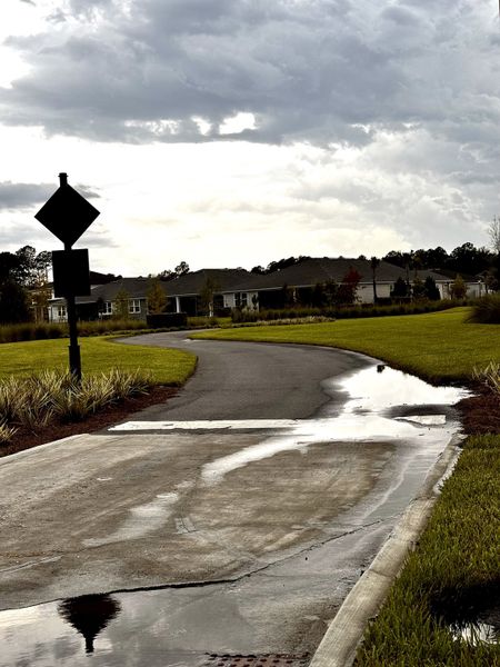 A serene community view with charming homes and lush greenery in RiverTown - Ravines by Mattamy Homes (St. Johns, FL).