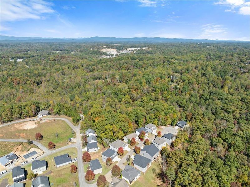 Aerial view of the Habersham Meadows community in Demorest, GA, showing layout and nearby surroundings (Image 4).