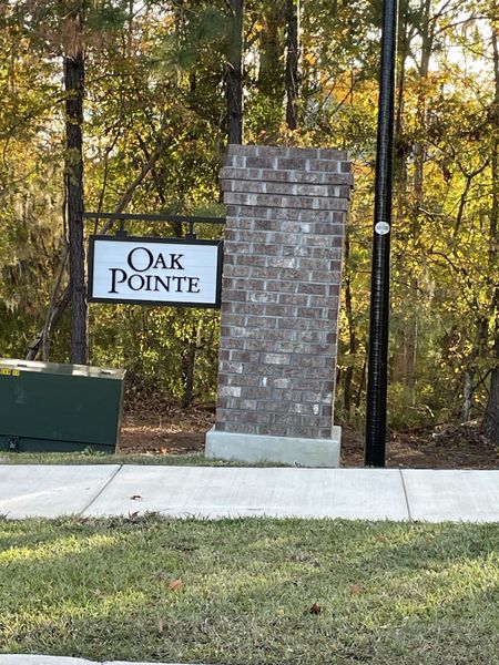 Charming entrance to Oak Pointe Single Family Homes by Stanley Martin Homes, nestled in the leafy surroundings of Hanahan, SC.