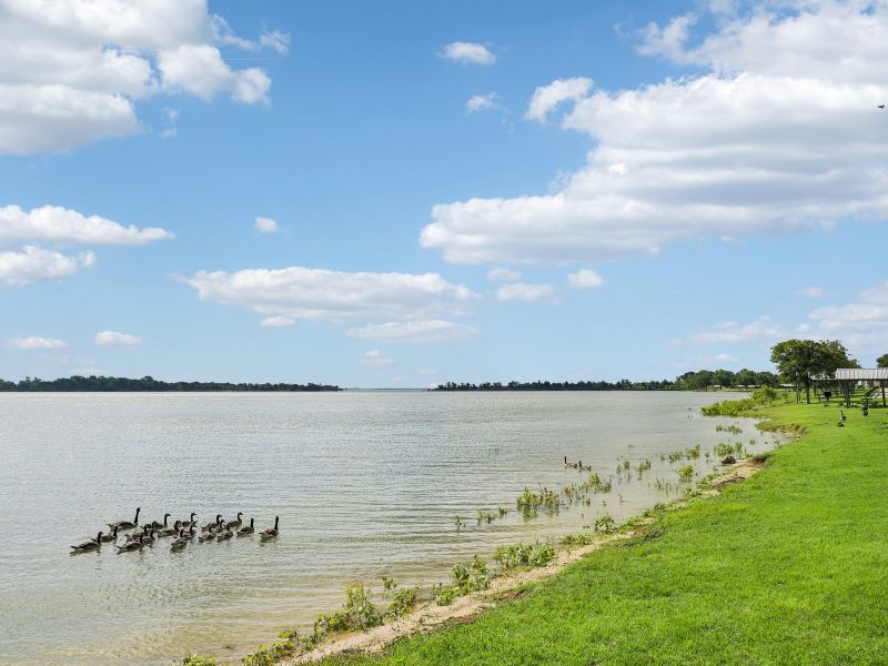 Natural surroundings and green spaces near Oak Ridge Park in Corinth, TX (Image 22). Natural surroundings and green spaces near Oak Ridge Park in Corinth, TX (Image 22).
