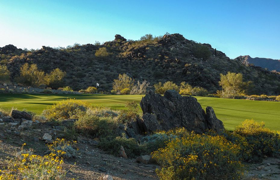 Beautiful Desert Vistas