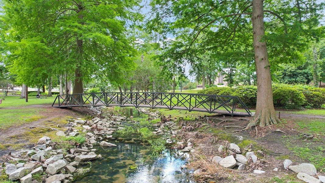 Natural surroundings and green spaces near The Bluffs at Mill Creek in Florence, SC (Image 23).