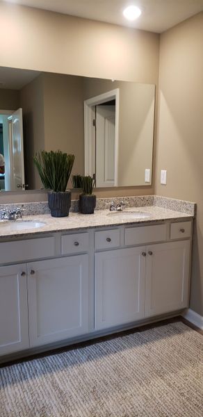 A modern bathroom with a granite double vanity, sleek cabinetry, and decorative plants, offering a fresh, elegant feel.