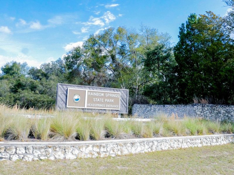 Rainbow Spring,34431