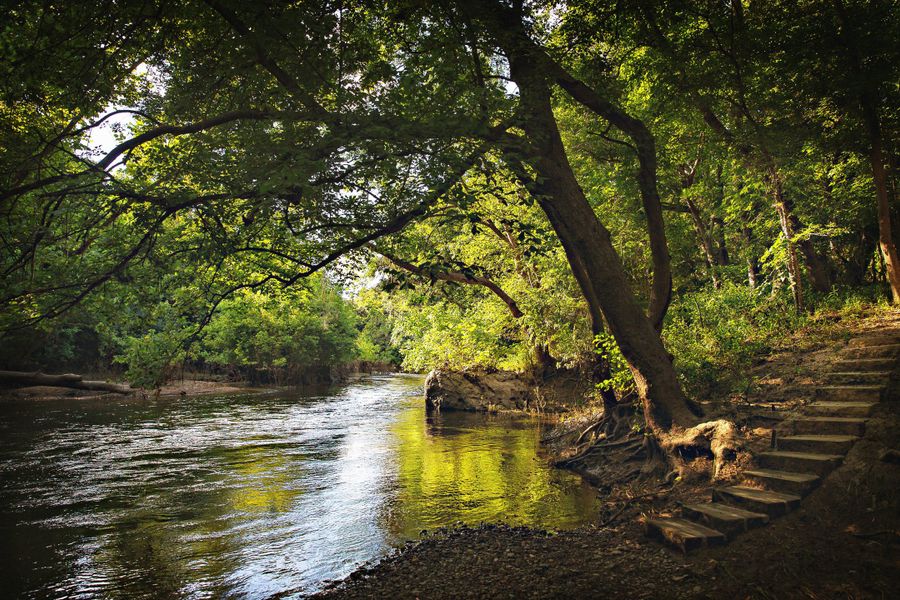Natural surroundings and green spaces near Three Creeks in Belton, TX (Image 27).