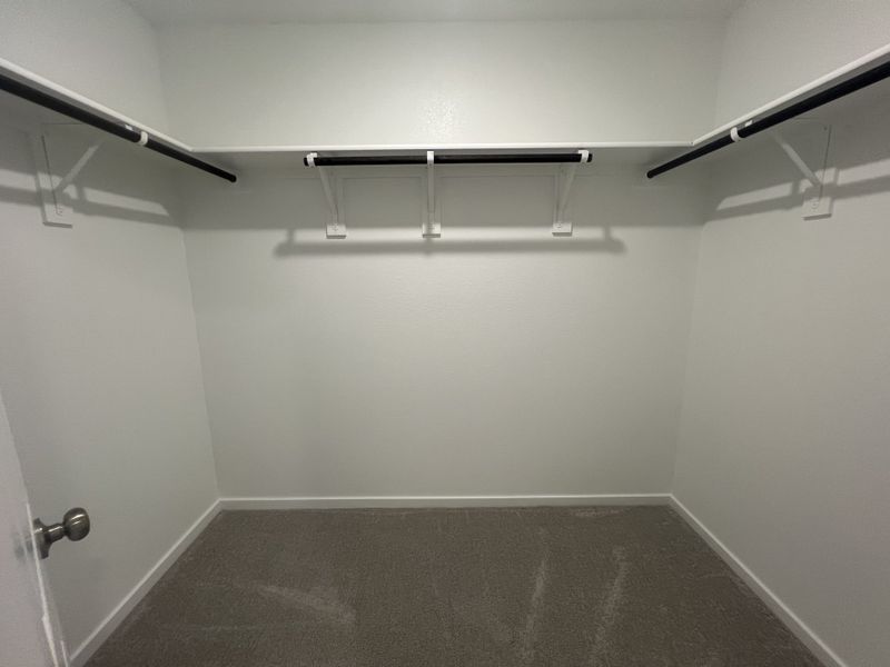 A spacious walk-in closet with shelving and neutral carpet, perfect for organizing and maximizing storage.