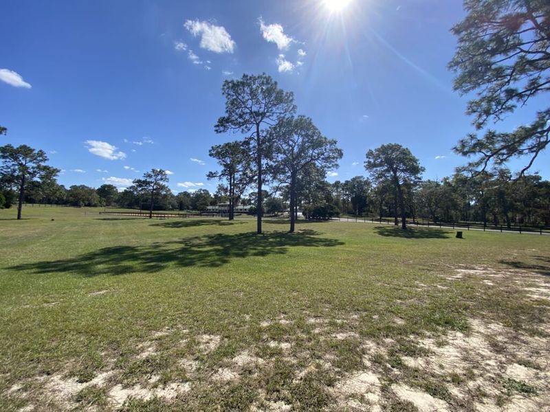 Natural surroundings and green spaces near Pine Ridge in Beverly Hills, FL (Image 43).