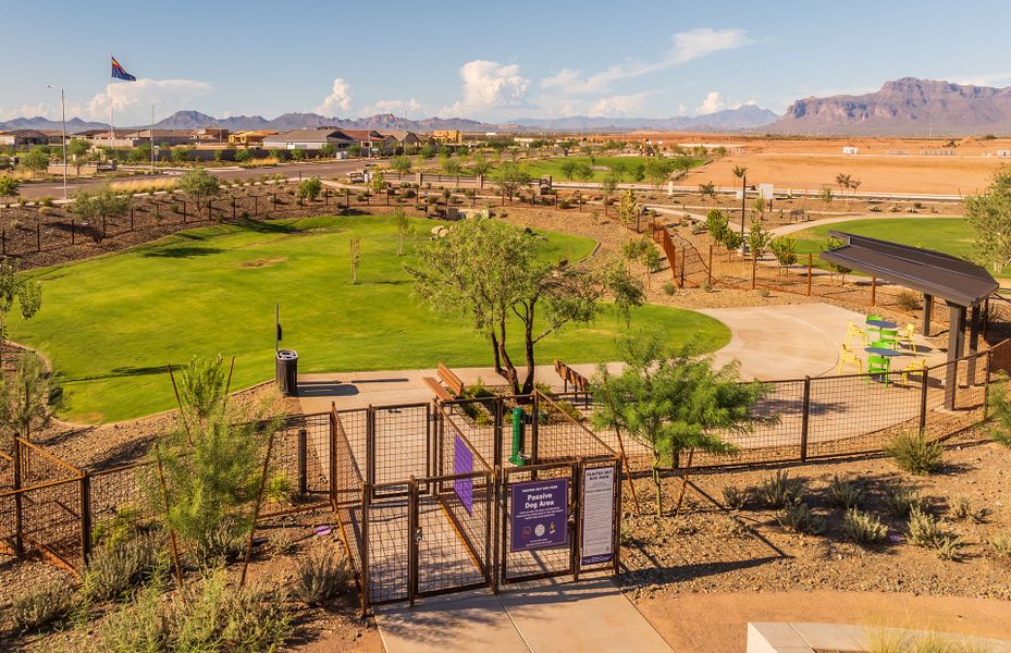 Community amenity available to residents of Blossom Rock in Apache Junction (Image 43). Community amenity available to residents of Blossom Rock in Apache Junction (Image 43).