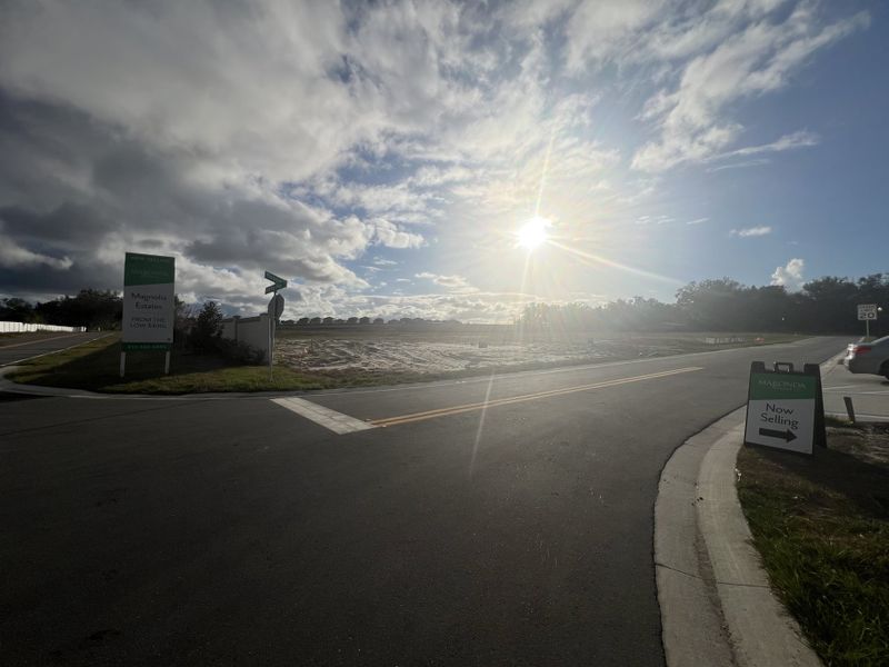 Newly developed roads under bright skies in Magnolia Estates by Maronda Homes, Lakeland, FL.