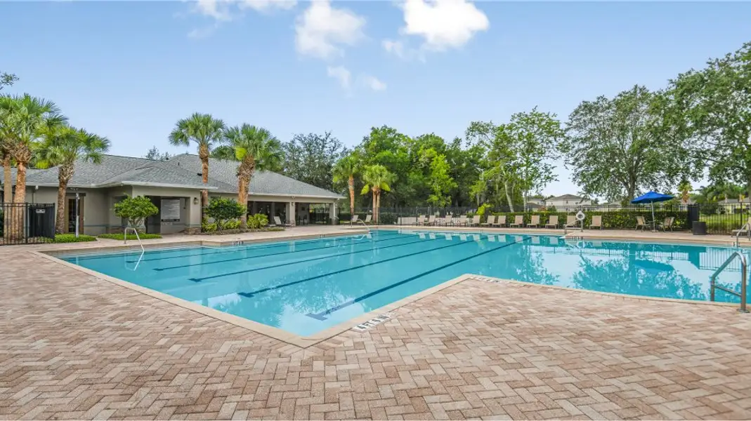 Community amenity available to residents of The Isle of Avalon in Spring Hill (Image 7).