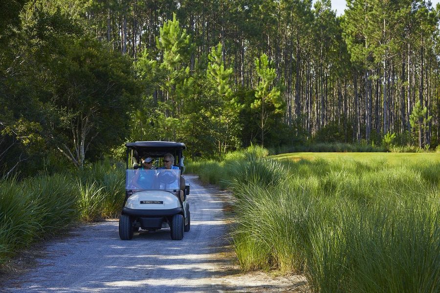 Natural surroundings and green spaces near The Dunes at Sandbar in Santa Rosa Beach, FL (Image 31).