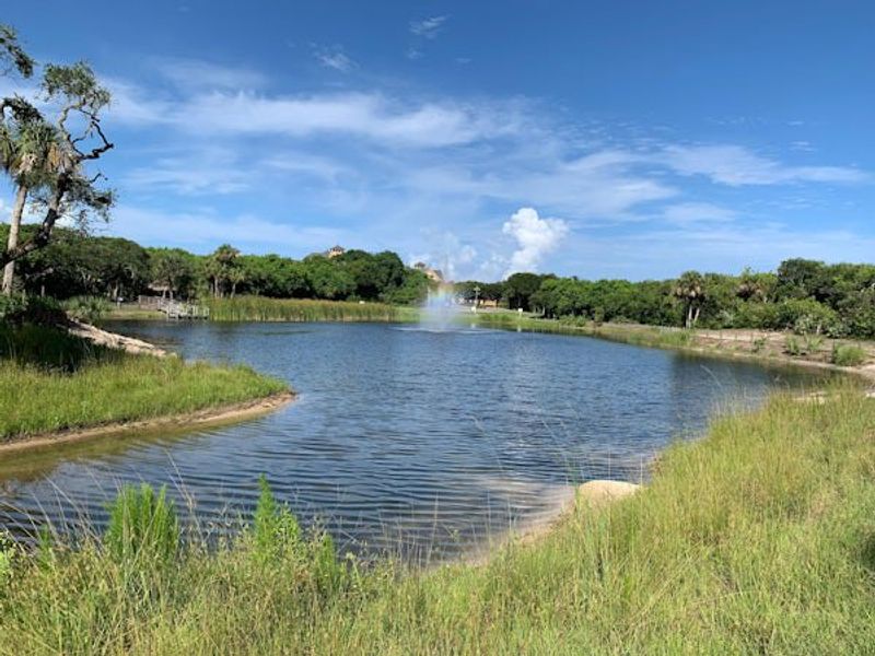 Natural surroundings and green spaces near Seaglass in Vero Beach, FL (Image 94).