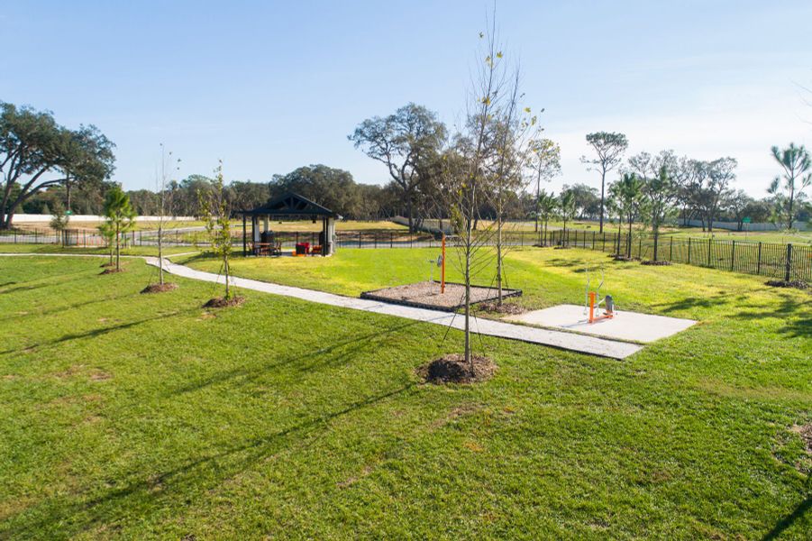 Walking Trail
