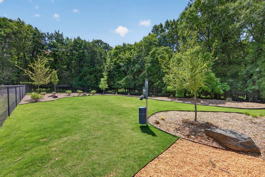 Natural surroundings and green spaces near Bellflower in Charlotte, NC (Image 11). Natural surroundings and green spaces near Bellflower in Charlotte, NC (Image 11).