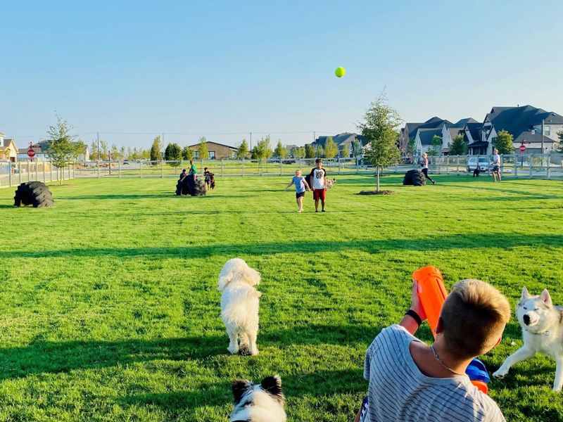 Image 43 of the Harvest community in Denton, TX.