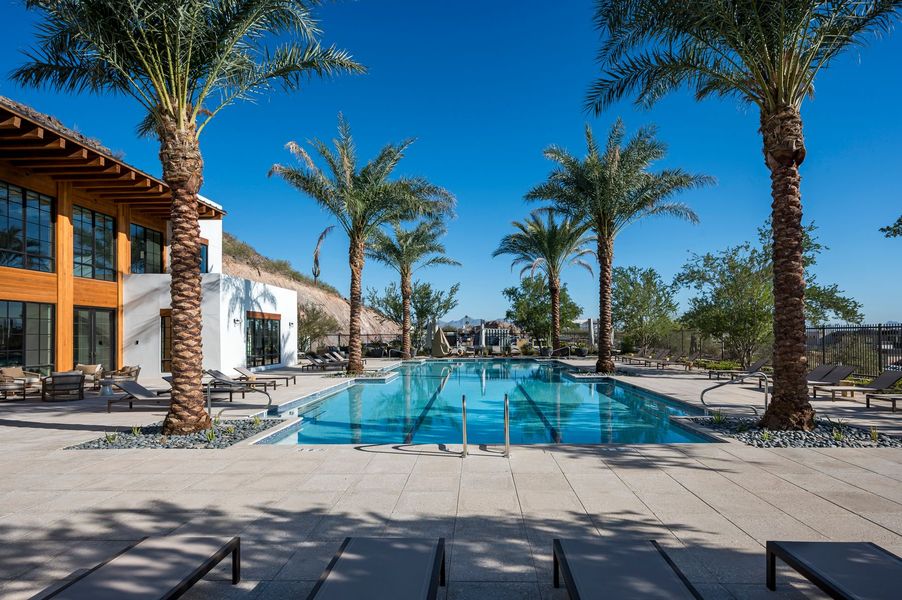 Ascent At The Phoenician®,85251