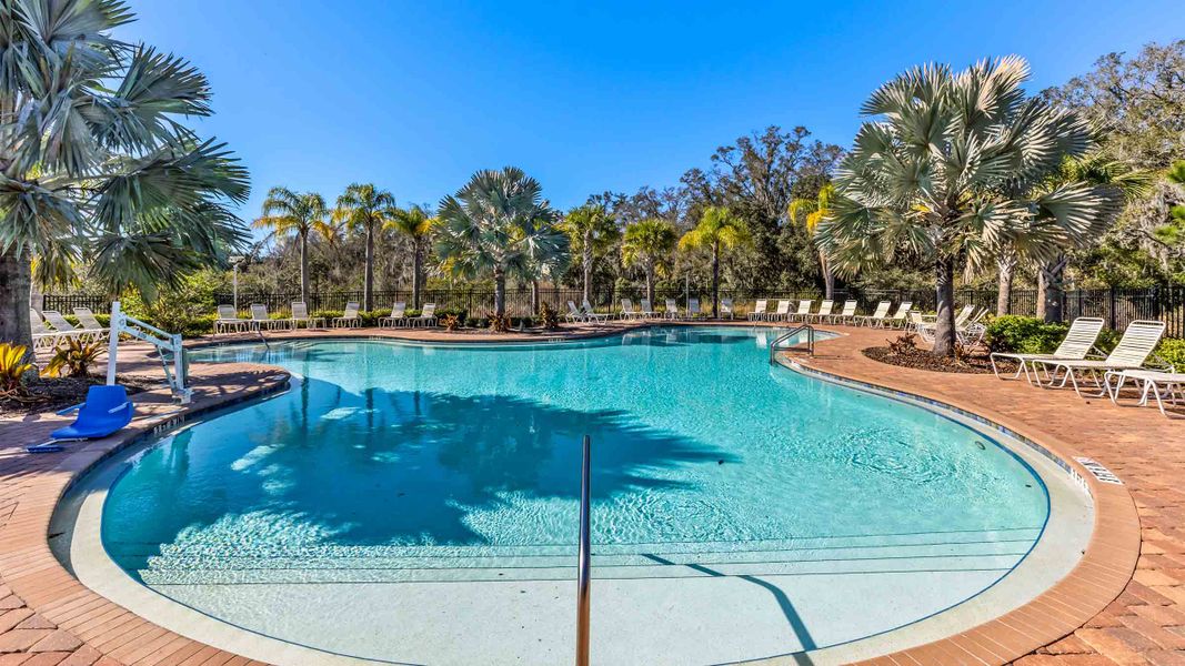 Image 6 of the Zephyr Ridge community in Zephyrhills, FL. Image 6 of the Zephyr Ridge community in Zephyrhills, FL.