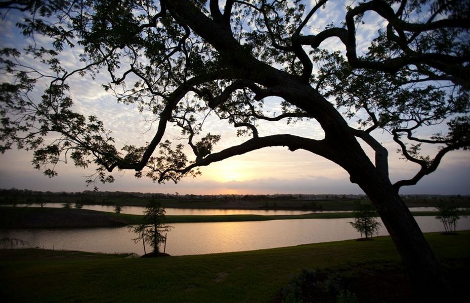 Image 16 of the Del Webb Sweetgrass community in Richmond, TX.