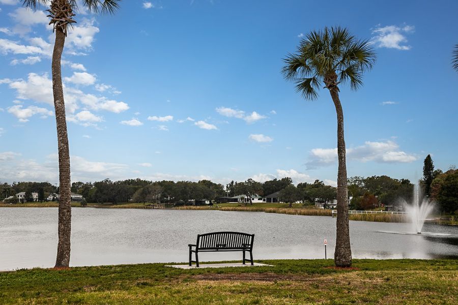 Natural surroundings and green spaces near Gum Lake Preserve in Lake Alfred, FL (Image 9).