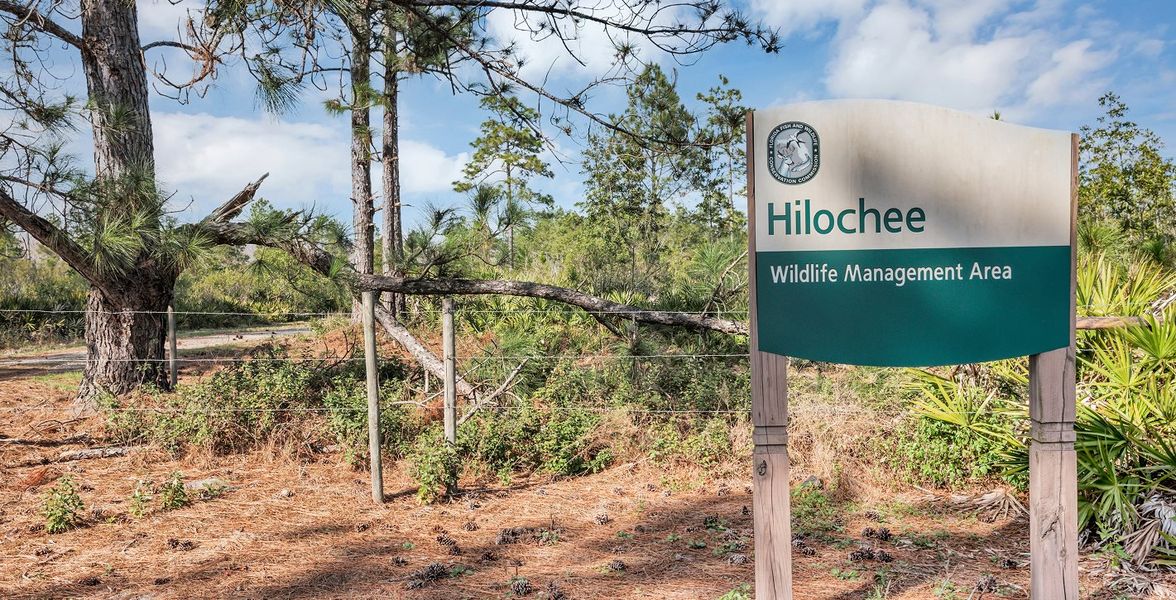 Nearby Hilochee Wildlife Management Area