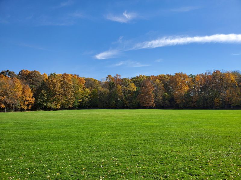 Natural surroundings and green spaces near Fosdick Glen of Saline in Saline, MI (Image 15). Natural surroundings and green spaces near Fosdick Glen of Saline in Saline, MI (Image 15).