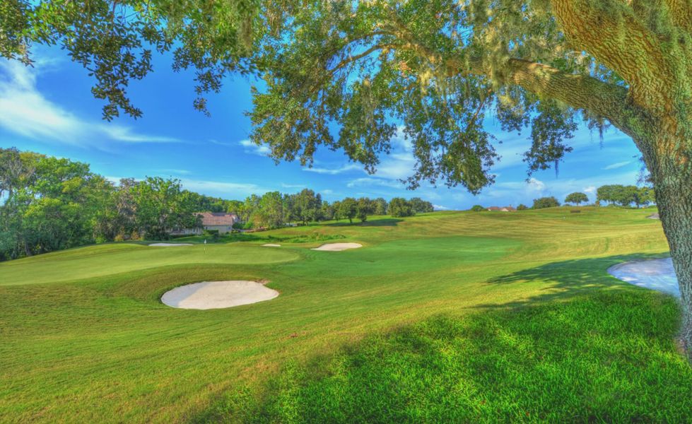 Natural surroundings and green spaces near Lake Jovita in Dade City, FL (Image 9). Natural surroundings and green spaces near Lake Jovita in Dade City, FL (Image 9).
