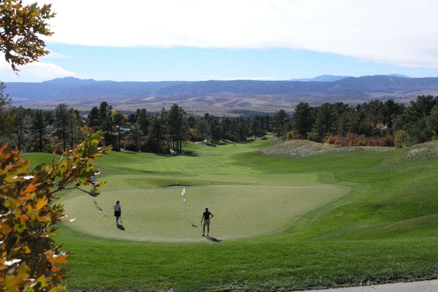 The Summit at Castle Pines,80108