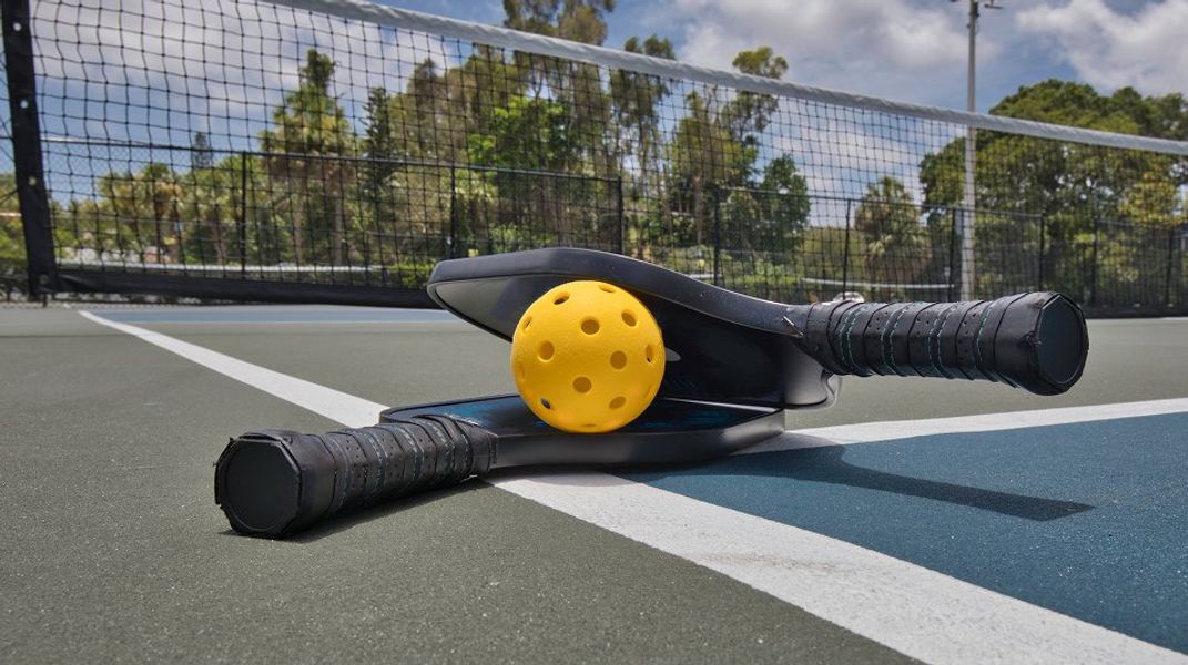 Sports Pickleball Paddles Court Closeup Sports Pickleball Paddles Court Closeup