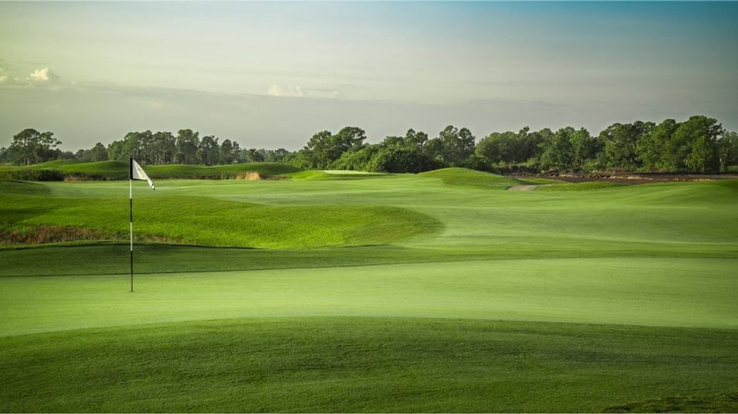 Ibis Landing Golf course