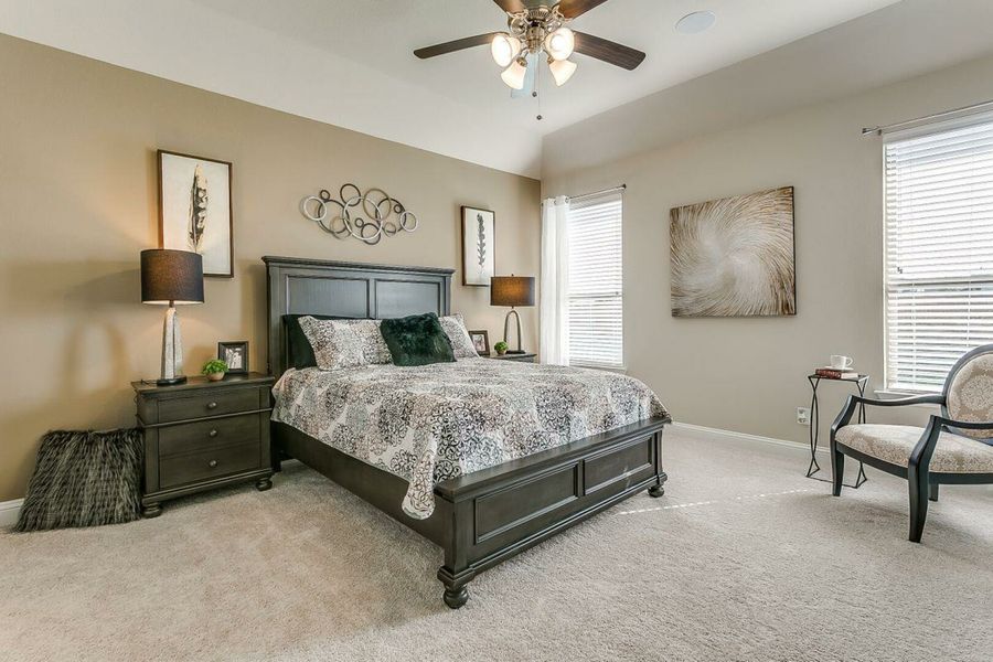 Image 7 of the Sonoma Verde 60's community in Rockwall, TX.